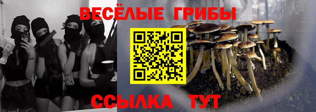 Псилоцибиновые грибы Magic Shrooms Бузулук